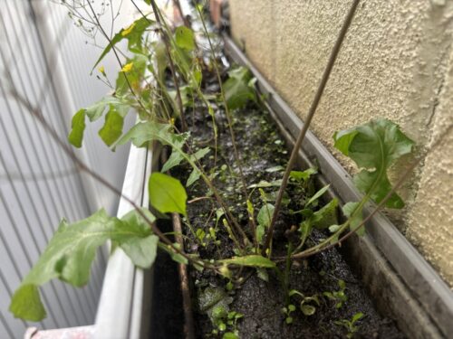 各務原市　企業様　雨漏り対策